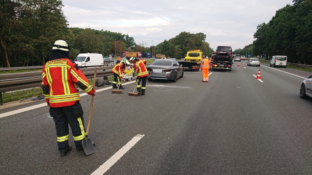 DSC_0078 bearbeitet groß.jpg